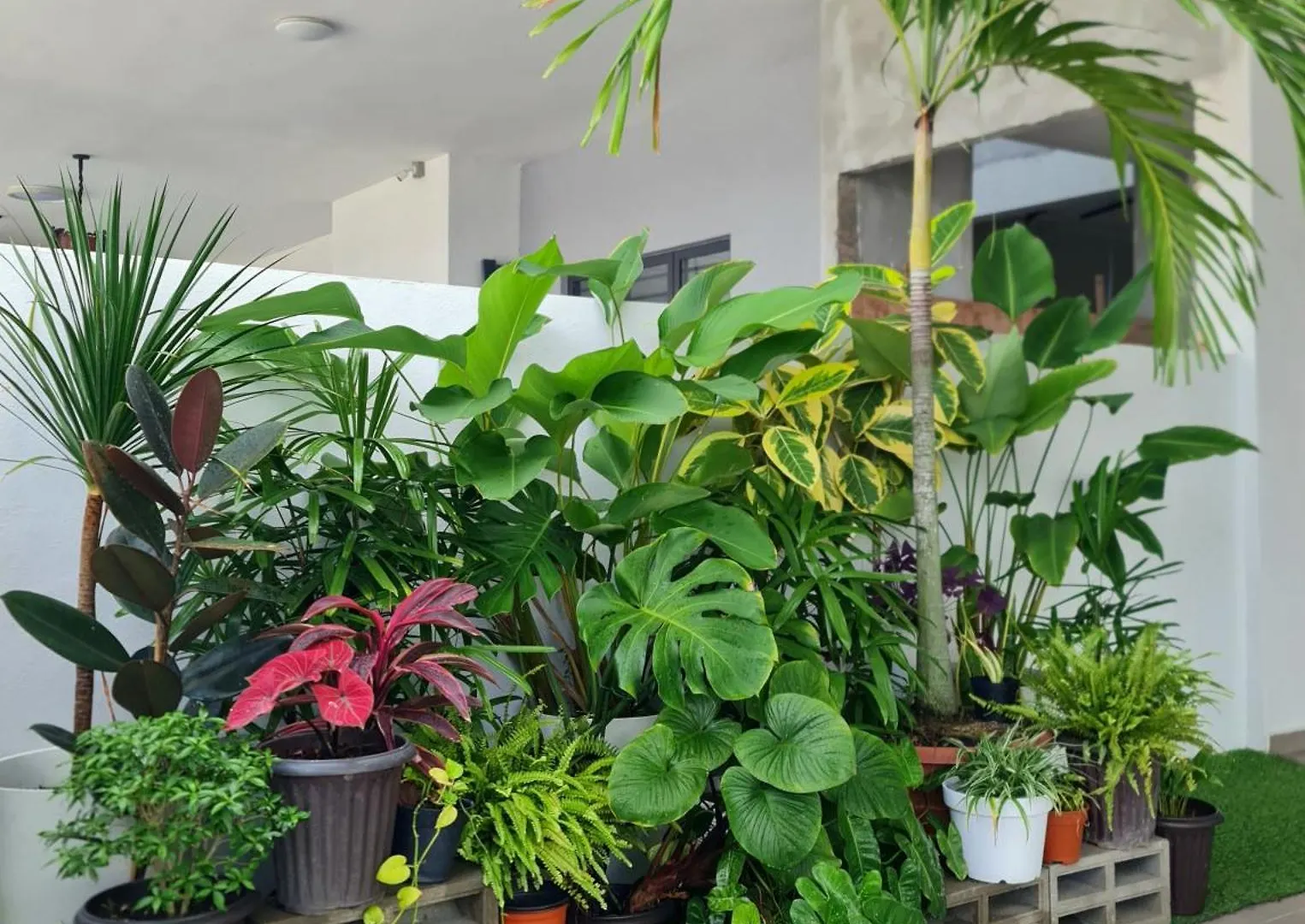 Jonker Street New Cozy Home 20Pax Swimming Pool Karaoke Malacca
